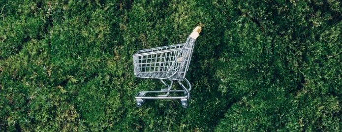 Guida allo shopping online sostenibile: scelte green per un consumo responsabile!