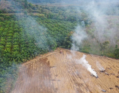 Deforestation Free Law